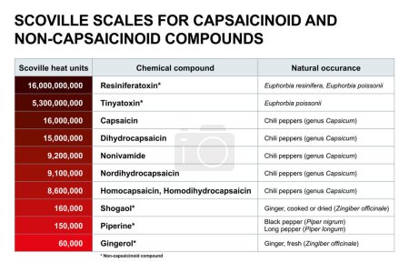 Illustration for Scoville scales for capsaicinoid and non-capsaicinoid compounds. Comparison of pungency of other chemical compounds than from chili peppers, such as euphorbia plants, ginger, or black and long pepper. - Royalty Free Image