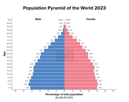 Ilustración de Pirámide de población del mundo 2023. Diagrama de la estructura de la edad, e ilustración gráfica de la distribución de más de 8 mil millones de personas divididas en mujeres y hombres, citado en pasos por ciento y de 4 años. - Imagen libre de derechos