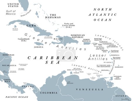 El Mar Caribe y sus islas, mapa político gris. El Caribe, subregión de las Américas, con las Indias Occidentales, comprometiendo países insulares independientes y dependencias en tres archipiélagos.
