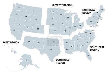 Vereinigte Staaten, geografische Regionen, graue politische Landkarte. Fünf Regionen, entsprechend ihrer geografischen Lage auf dem Kontinent. Gemeinsame, aber inoffizielle Bezugnahme auf Regionen der Vereinigten Staaten.