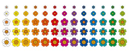 Fünf Sets von mehrfarbigen Blumen, verschiedene Arten von Blüten, Pop-Art-farbig und in Reihen angeordnet. Gruppen von bunten Blumen, isolierte Illustration, auf weißem Hintergrund. Vektor.