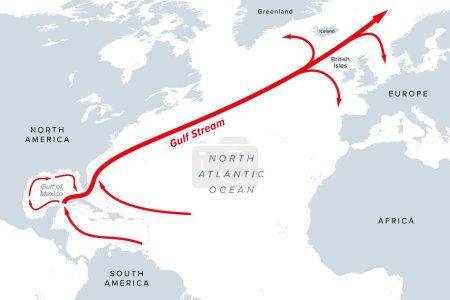 Gulf Stream, mapa político gris. Una corriente cálida y rápida del Océano Atlántico, originaria del Golfo de México, que fluye a través del Estrecho de Florida por las costas de los Estados Unidos y Canadá.