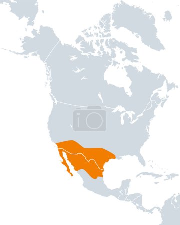 Illustration for Aridoamerica map, ecological region of dry and arid climate, spanning Northern Mexico and Southwestern United States. A region, where pre-Columbian people cultivated drought-resistant tepary beans. - Royalty Free Image