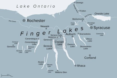 Región de Finger Lakes en el estado de Nueva York, Estados Unidos, mapa político gris, con las ciudades más importantes. Grupo de once lagos largos, estrechos, aproximadamente al sur-norte, situados directamente al sur del lago Ontario.