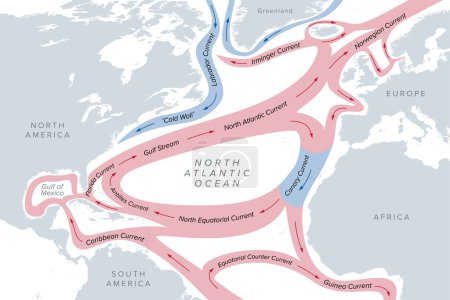 Map of the Gulf Stream and major North Atlantic Ocean currents. Sea water is circulating in clockwise direction, the warm currents highlighted in red, and the cold ones in blue. Illustration. Vector