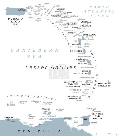Islas del Caribe Oriental, mapa político gris. Puerto Rico, Islas Vírgenes, Islas Sotavento y Barlovento, y parte de las Antillas Sotavento al norte de la costa de Venezuela, ubicada en el Mar Caribe.