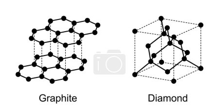 Graphite and diamond, allotropes of carbon, pure forms of the same element that differ in structure.  Graphite crystallizes in the hexagonal system, and diamond in the cubic system. Schematic diagram.