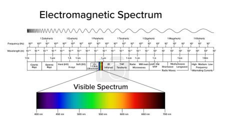 Diagramme du spectre électromagnétique, avec spectre visible et lumière mis en évidence séparément. Toute la gamme des rayonnements électromagnétiques, organisés par fréquence en Hertz et longueur d'onde en mètre.