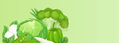 Foto de Green vegetables horizontal web banner. Cabbage, peas, broccoli, bell, pepper, spinach, cauliflower, greens, other vegetables. Illustration for header website, cover templates in modern design - Imagen libre de derechos