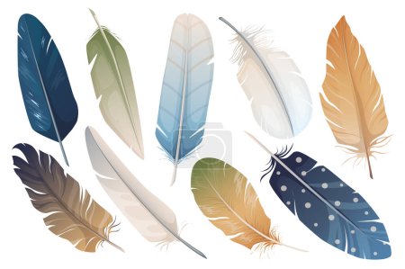 Photo for Realistic feathers mega set graphic elements in flat design. Bundle of different types and colors bird fluffy feathers for decoration templates in boho and other. Illustration isolated objects - Royalty Free Image