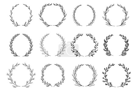 Ornamental branch wreathes set in hand drawn design. Laurel leaves wreath and decorative branch bundle. Collection of differen herbs, twigs, flowers and plants curl elements. Floral decoration.