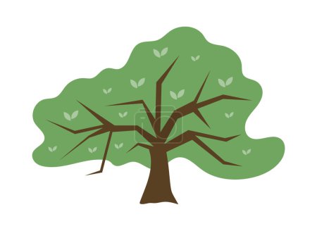 Illustration for Green tree with branches and spreading crown. Plants for park landscapes. Vector illustration isolated design - Royalty Free Image