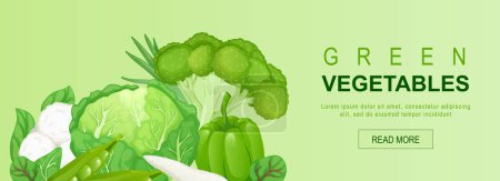 Illustration for Green vegetables horizontal web banner. Cabbage, peas, broccoli, bell, pepper, spinach, cauliflower, greens, other vegetables. Vector illustration for header website, cover templates in modern design - Royalty Free Image