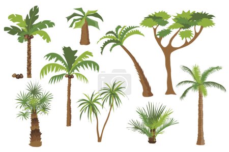 Téléchargez les illustrations : Palm trees set graphic elements in flat design. Bundle of different types of palm trees with coconuts and bushes with green crown of leaves, trunks and branches. Vector illustration isolated objects - en licence libre de droit