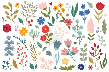 Illustration for Flowers and herbs mega set graphic elements in flat design. Bundle of abstract wildflowers, daisy, rose, hyacinth and other meadow blossoms, plants with leaves. Vector illustration isolated objects - Royalty Free Image