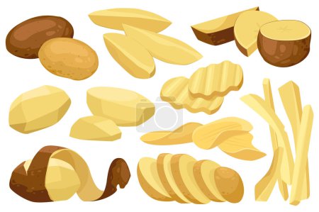 Illustration for Realistic potato mega set graphic elements in flat design. Bundle of raw whole root crops and sliced pieces in different shapes for cooking, chips and fries. Vector illustration isolated objects - Royalty Free Image