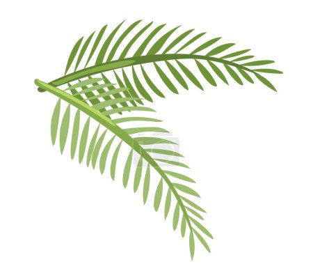 Téléchargez les illustrations : Feuilles de palmier au design plat. Feuillage vert arbre tropical dans les voyages d'été. Illustration vectorielle isolée. - en licence libre de droit