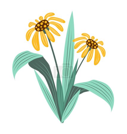 Téléchargez les illustrations : Échinacée orange abstraite aux feuilles plates. Des fleurs de conifères en fleurs. Illustration vectorielle isolée. - en licence libre de droit
