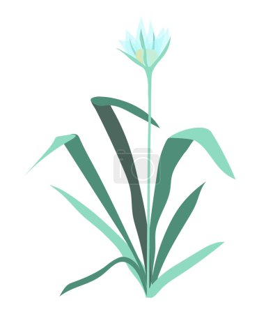 Ilustración de Strelitzia azul abstracto en diseño plano. Flor tropical con hojas verdes. Ilustración vectorial aislada. - Imagen libre de derechos