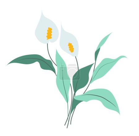 Illustration for Abstract calla lily branch in flat design. Blooming white flowers with leaves. Vector illustration isolated. - Royalty Free Image