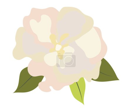 Illustration for Abstract white peony flower in flat design. Elegant blossom head with leaves. Vector illustration isolated. - Royalty Free Image