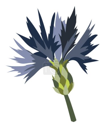 Ilustración de Cabeza de aciano azul en ramita de diseño plano. Flor floreciente primer plano. Ilustración vectorial aislada. - Imagen libre de derechos