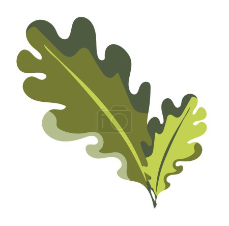 Illustration for Green oak leaves in flat design. Decorative forest herbarium bouquet. Vector illustration isolated. - Royalty Free Image