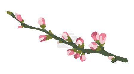 Ilustración de Brotes de cerezo rosa en rama de árbol de diseño plano. Hermosa flor primaveral. Ilustración vectorial aislada. - Imagen libre de derechos