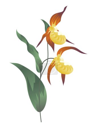 Illustration for Yellow iris flower on stem in flat design. Wildflower with green leaves. Vector illustration isolated. - Royalty Free Image