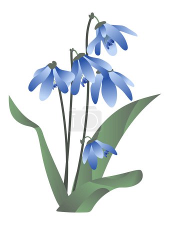 Bluebells or scilla on stem in flat design. Springtime first flowers. Vector illustration isolated.