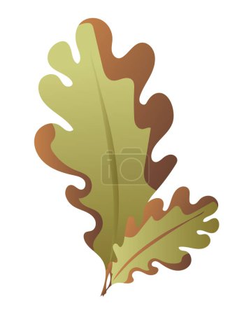 Illustration for Autumn oak leaves in flat design. Falling green and brown dry leaflet. Vector illustration isolated. - Royalty Free Image