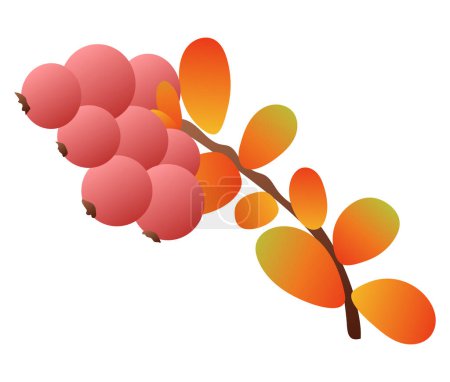 Ilustración de Ramita de bayas rojas con hojas de otoño de diseño plano. Rama de rowan caída. Ilustración vectorial aislada. - Imagen libre de derechos