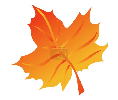 Illustration for Autumn orange maple leaf with veins in flat design. Fall decorative foliage. Vector illustration isolated. - Royalty Free Image