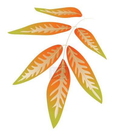 Ilustración de Rama otoñal con hojas con patrón texturizado en diseño plano. Follaje de otoño. Ilustración vectorial aislada. - Imagen libre de derechos