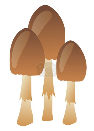 Ilustración de Champiñones marrones en hierba de diseño plano. Hongos del bosque salvaje con gorras. Ilustración vectorial aislada. - Imagen libre de derechos