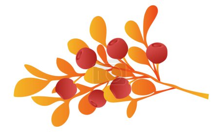 Téléchargez les illustrations : Brindilles de baies rouges avec des feuilles orange au design plat. Branche de canneberge d'automne. Illustration vectorielle isolée. - en licence libre de droit
