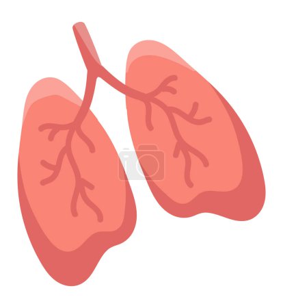 Illustration for Human lungs in flat design. Breathe organ anatomy, respiratory health. Vector illustration isolated. - Royalty Free Image