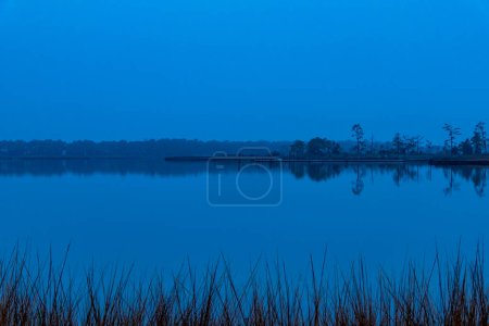 Téléchargez les photos : Point Lookout, Maryland, États-Unis Une vue sur le lac Conoy et les herbes. - en image libre de droit