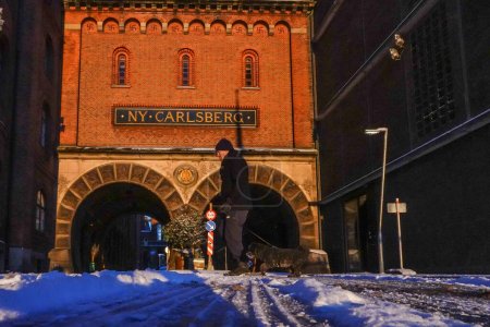 Foto de Copenhague, Dinamarca Un hombre y un perro en el antiguo barrio de Carlsberg Brewery al amanecer. - Imagen libre de derechos