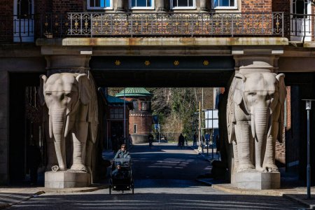 Foto de Copenhague, Dinamarca Estatuas de elefante emblemáticas en un pasadizo en el distrito Carlsberg Byen. - Imagen libre de derechos