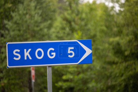 Foto de Falun, Suecia Una señal de tráfico dice Skog en sueco que en traducción al inglés significa Bosque. - Imagen libre de derechos