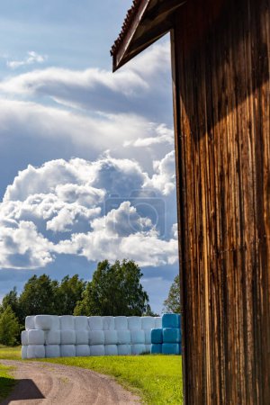 Téléchargez les photos : Nusnas, Suède Un jardin pittoresque avec des balles de foin. - en image libre de droit