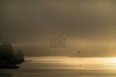 Photo for Stockholm, Sweden Fog and the sunrise over the Ridddarfjarden bay in downtown create a dramatic landscape as a small electric ferry passes. a dramatic landscape - Royalty Free Image