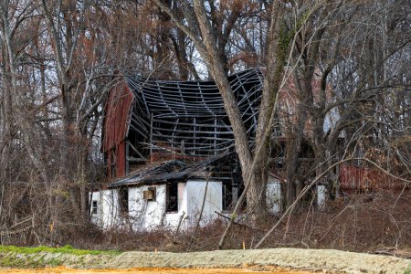 Foto de Prince Frederick, Maryland Estados Unidos Un granero en ruinas en el bosque con un techo caído. - Imagen libre de derechos