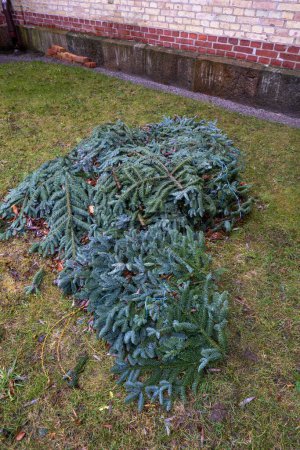 Photo for Borlunda, Sweden A pile of pine clippings on the side of a church. - Royalty Free Image
