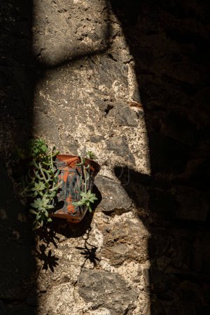 Pacentro, Italien Eine Topfpflanze auf einer Felswand in einem mittelalterlichen Dorf.