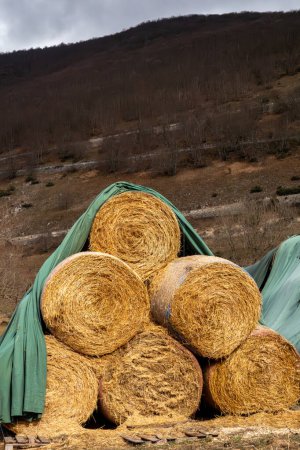 Scanno, Italy Hay bales stacked under a tarpaulin in the mountains.