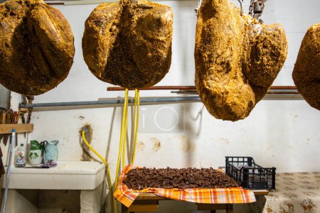 Goriano Sicoli, Italy Fresh proscuitto ham hanging for curing.