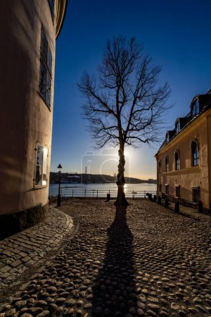 Estocolmo, Suecia Una vista de la isla Riddarholmen al sol mirando hacia Sodermalm.