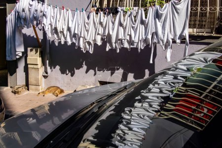 Foto de Estambul, Turquía Un gato duerme al sol mientras la ropa fresca cuelga y se seca en un tendedero al aire libre en el distrito de Balat. - Imagen libre de derechos